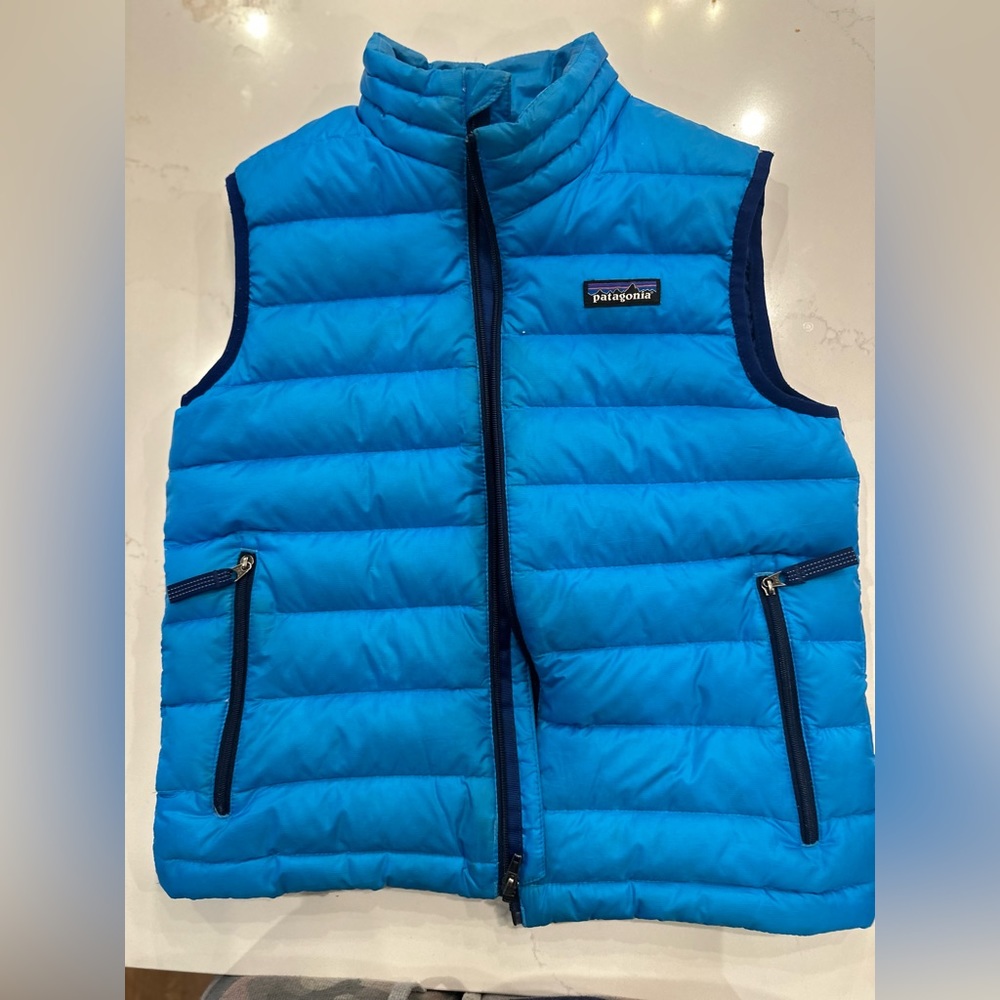 Patagonia Down Insulated Vest